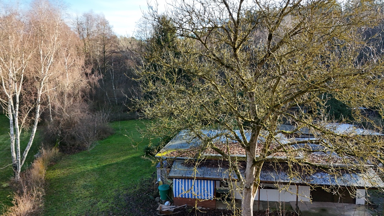 haus kaufen Rheinsberg