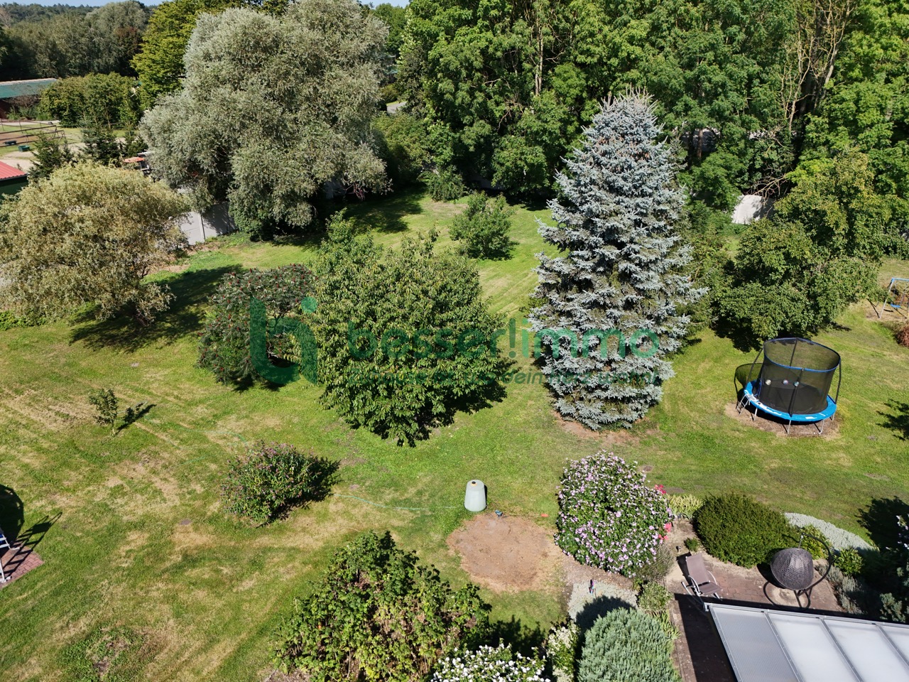 haus kaufen nauen