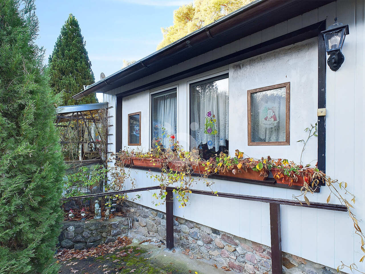 haus kaufen Rheinsberg