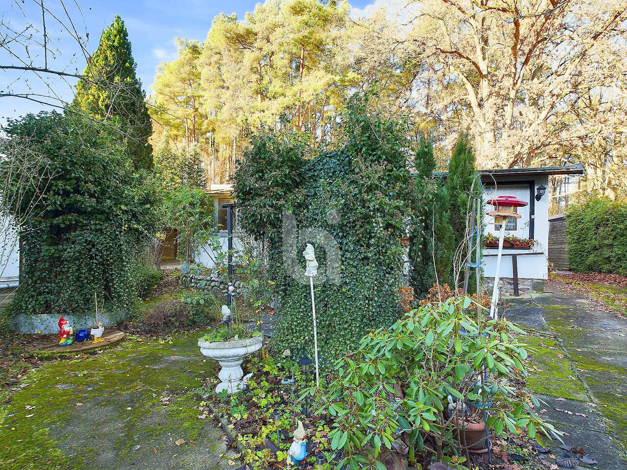 haus kaufen Rheinsberg
