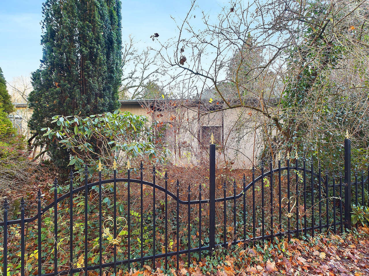 haus kaufen Rheinsberg