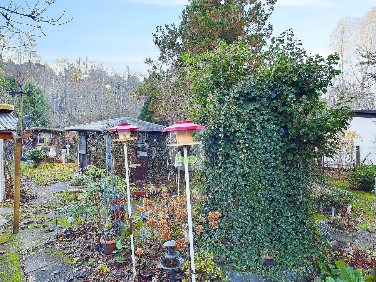 haus kaufen Rheinsberg
