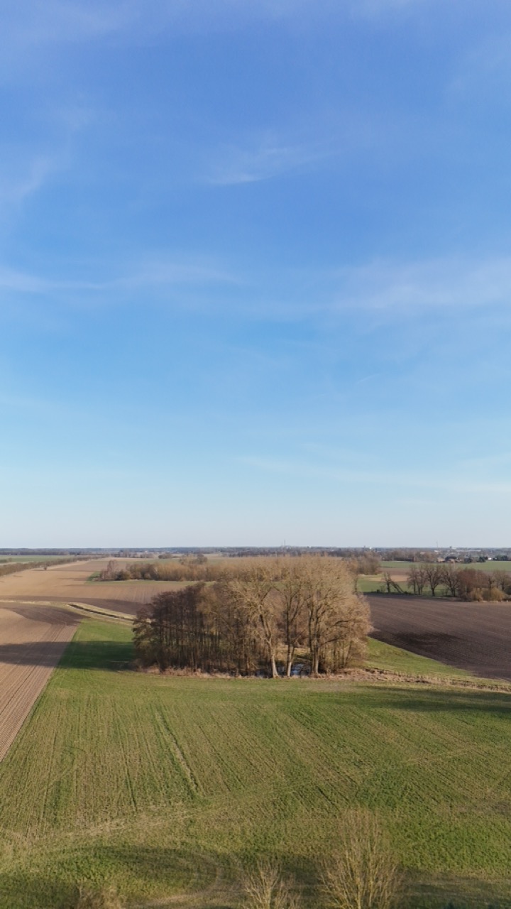 immobilien neuruppin