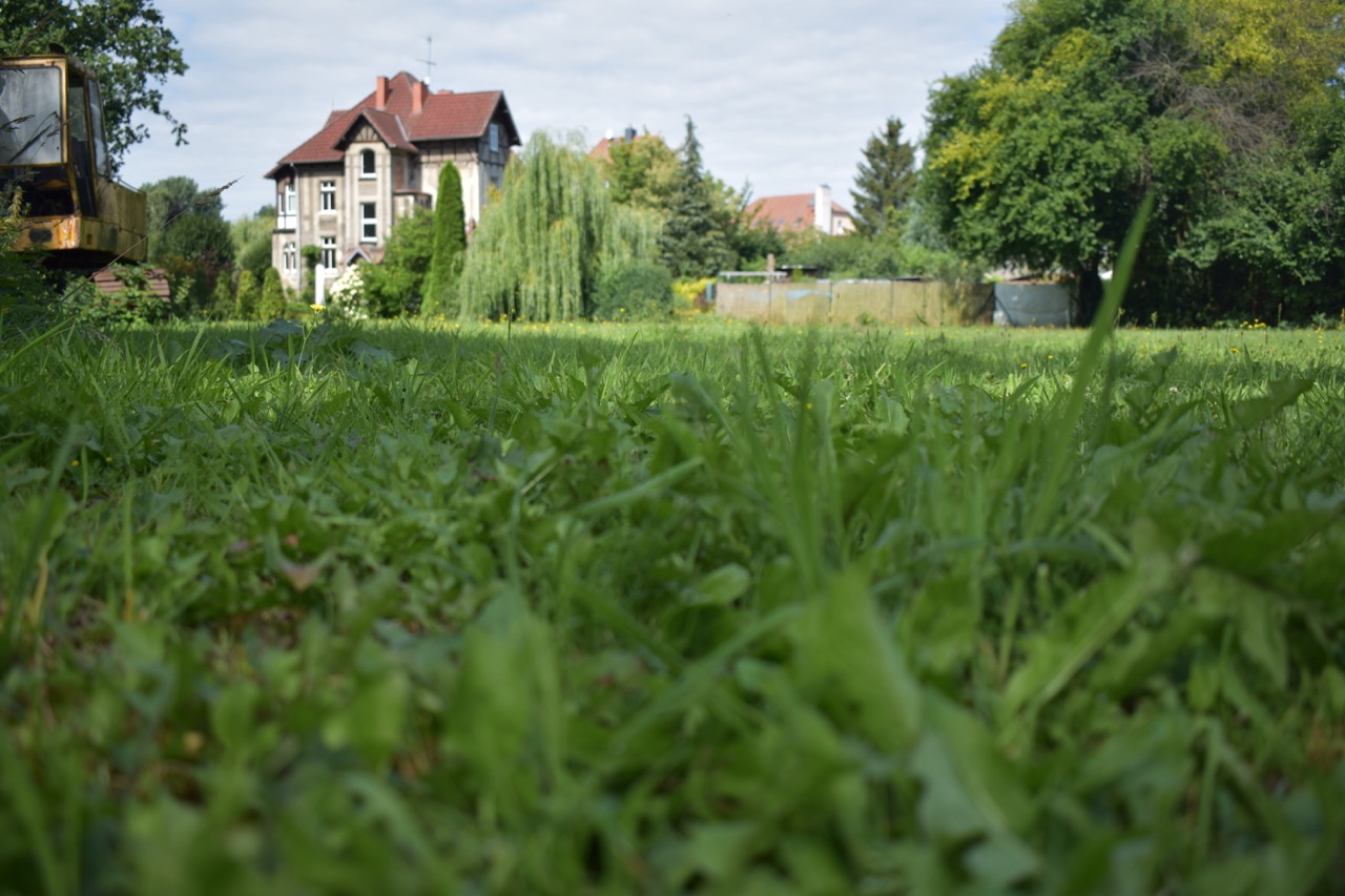 MFH Wusterhausen Dosse14