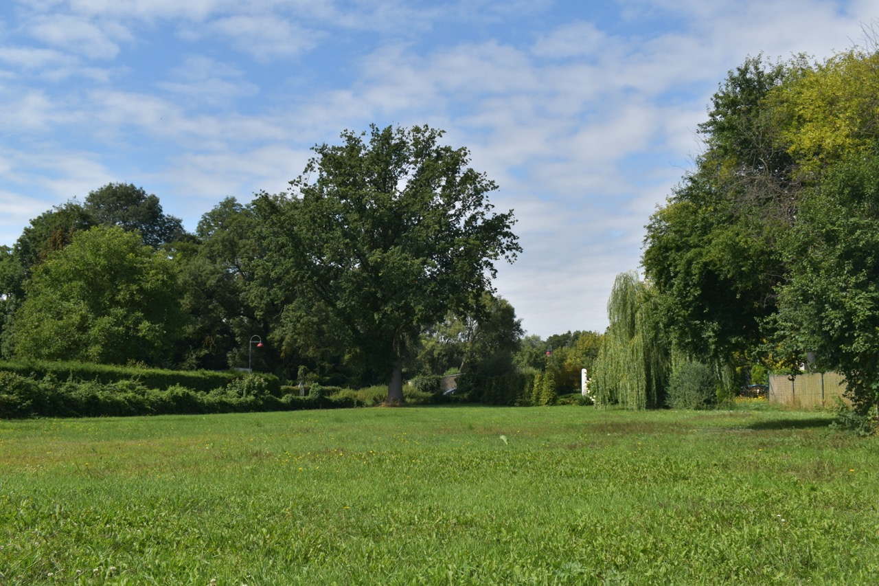 MFH Wusterhausen Dosse22