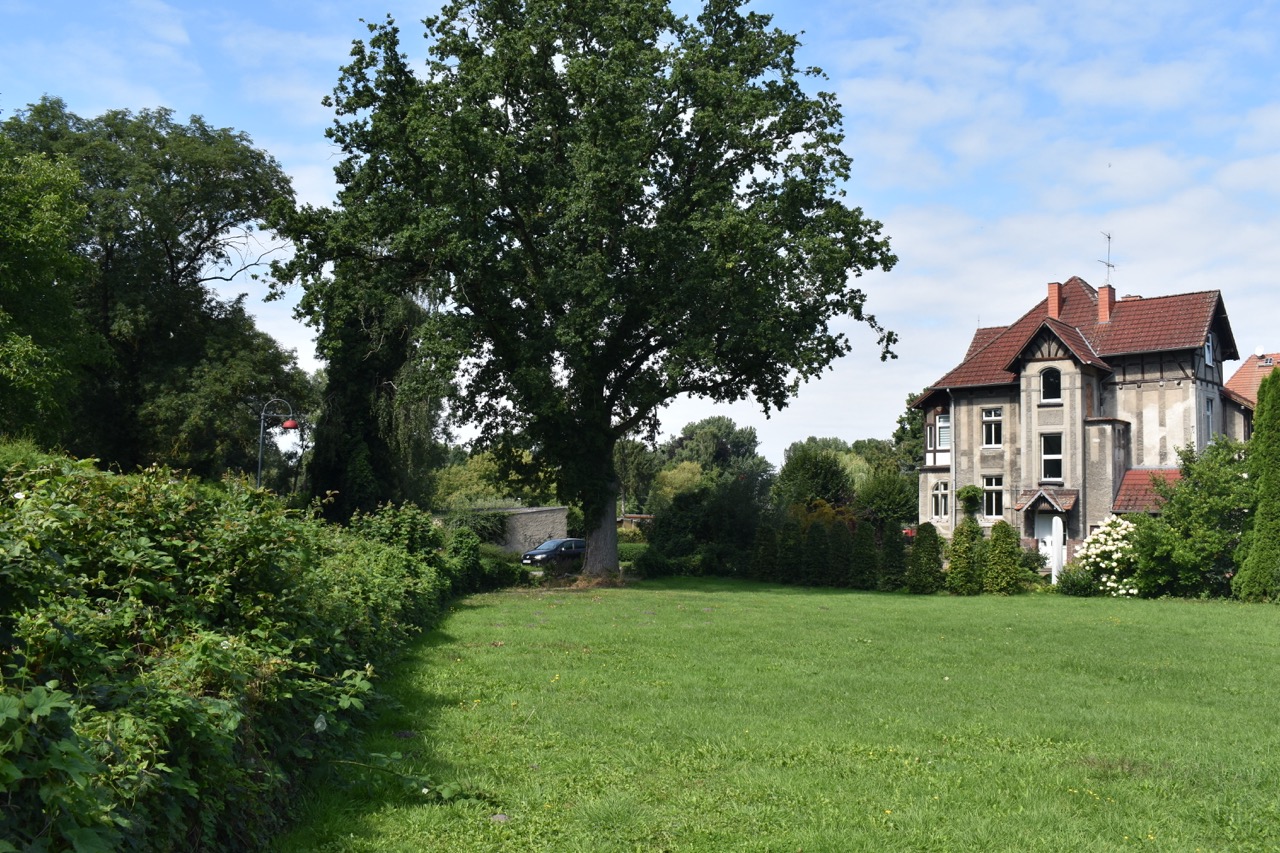 MFH Wusterhausen Dosse23