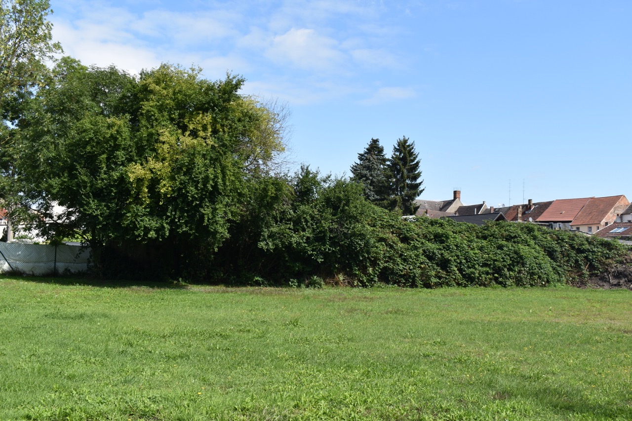 MFH Wusterhausen Dosse26