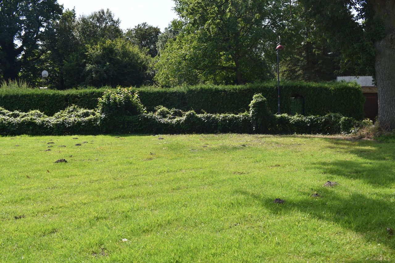 MFH Wusterhausen Dosse34