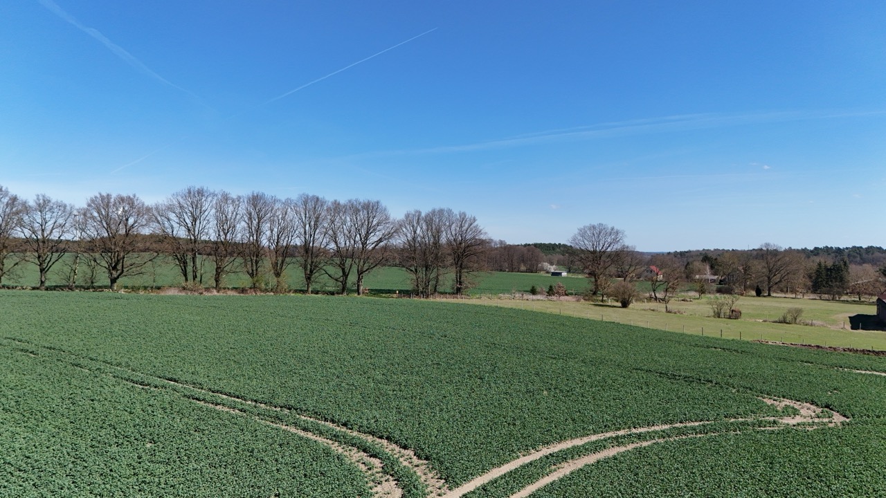 immobilienmakler Nauen