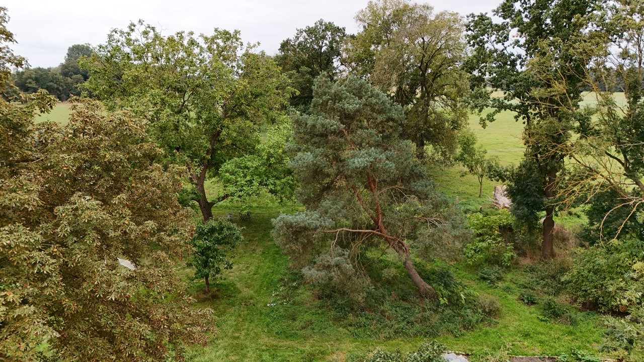 besserimmo