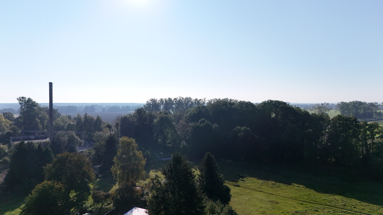 besserimmo