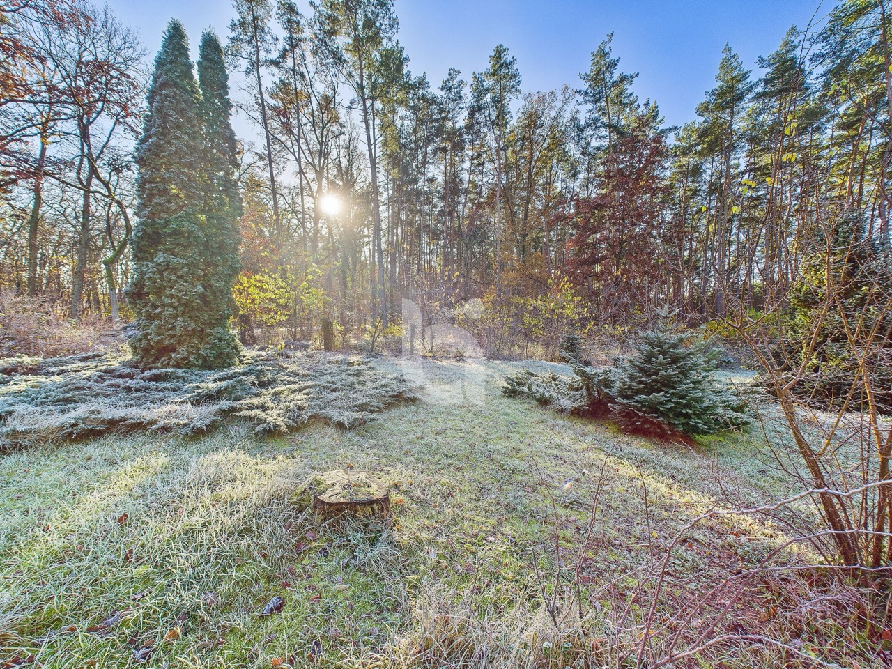 besseerimmo Friesack