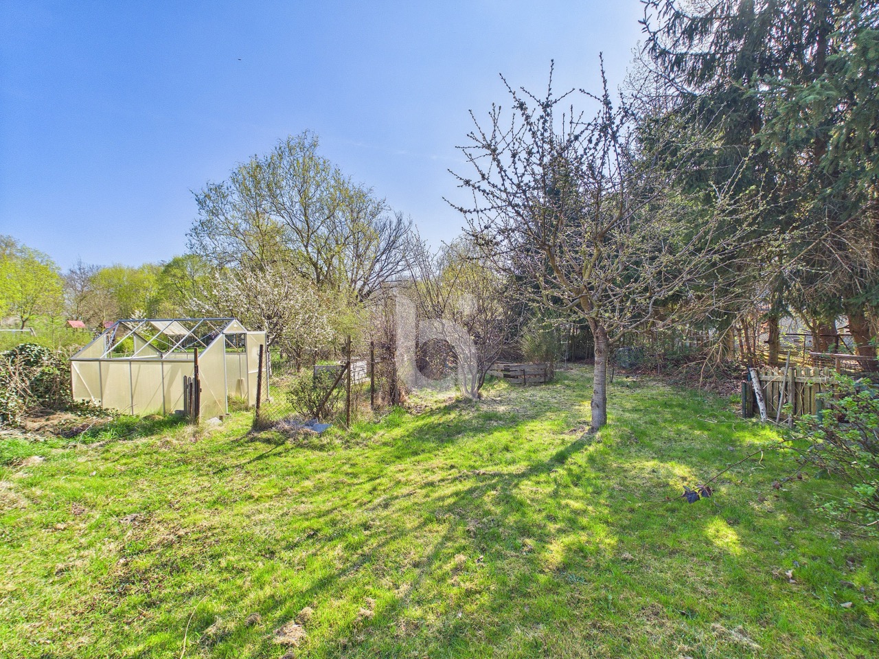 Grünareal - Hinterhof 3