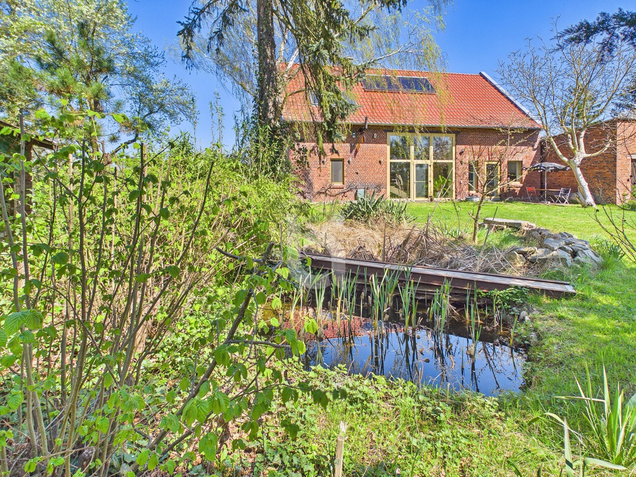 Außenareal:Teich