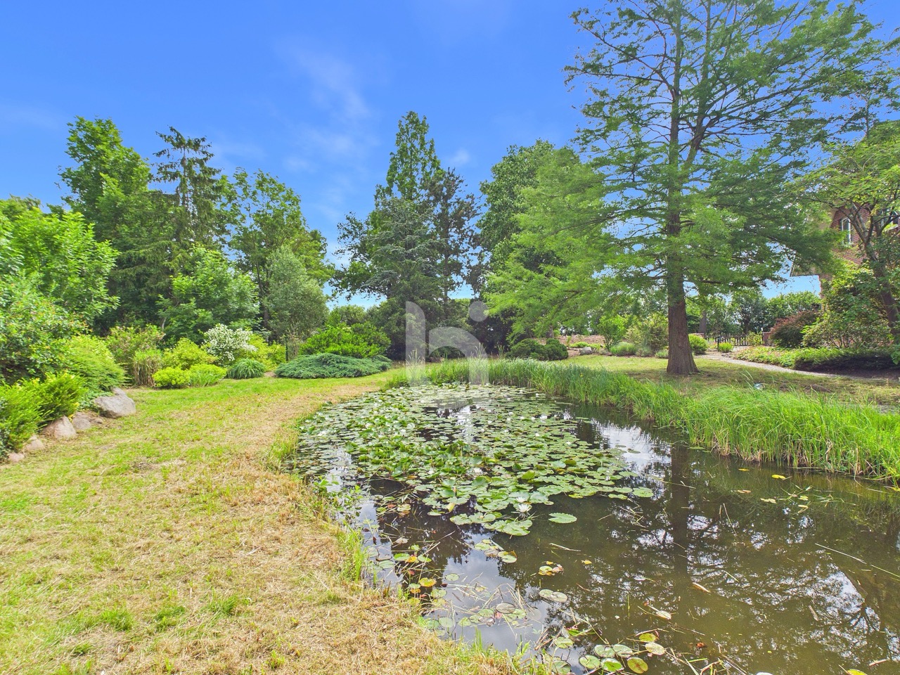 Naturkulisse Teich 4
