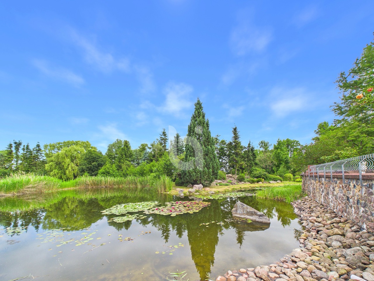 Naturkulisse Teich