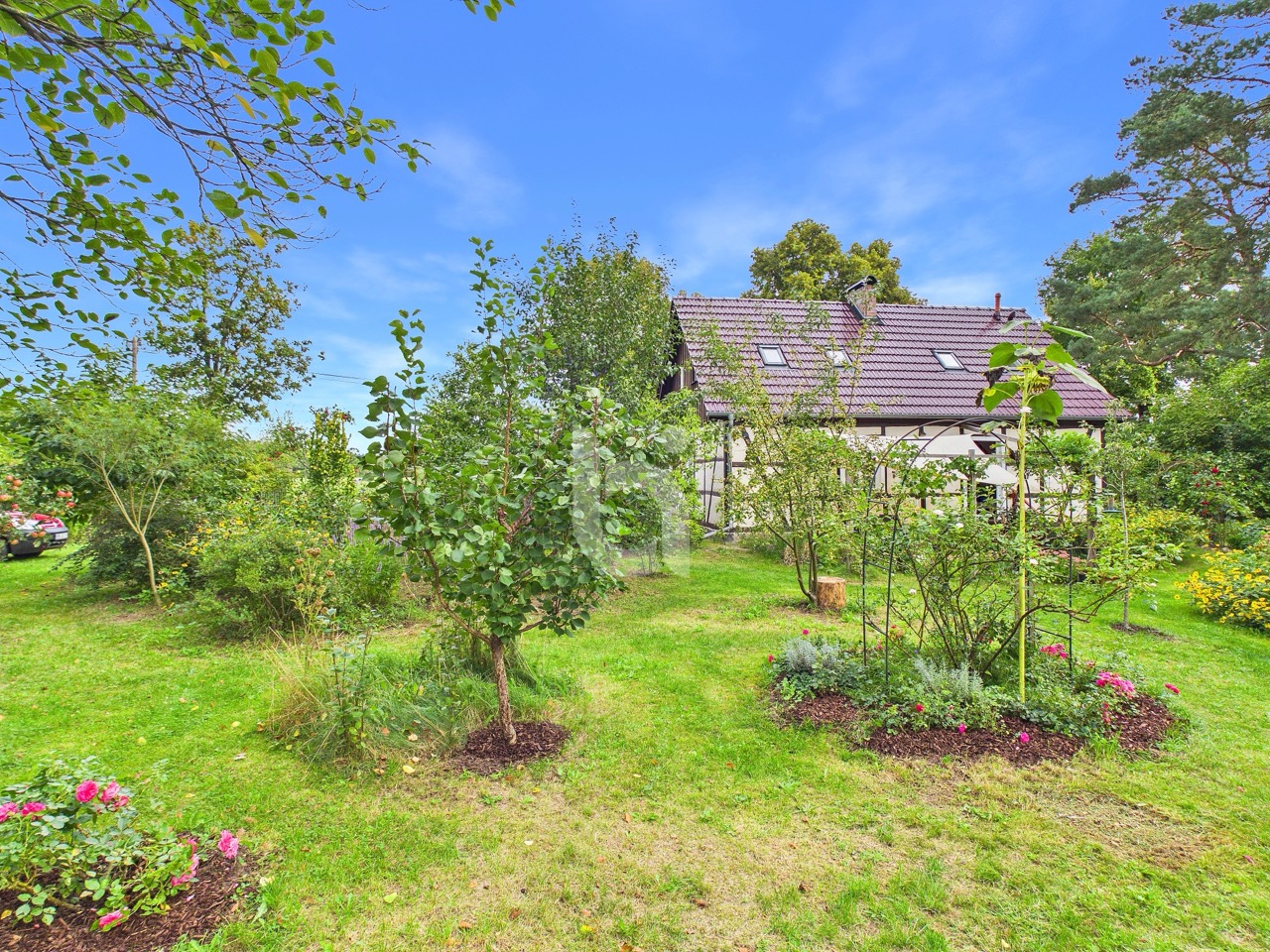 Gartenglück 4