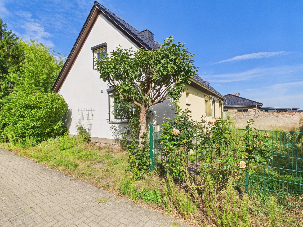 Grünareal 2