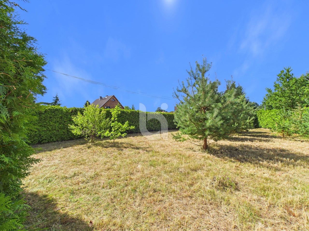 Grünareal 5