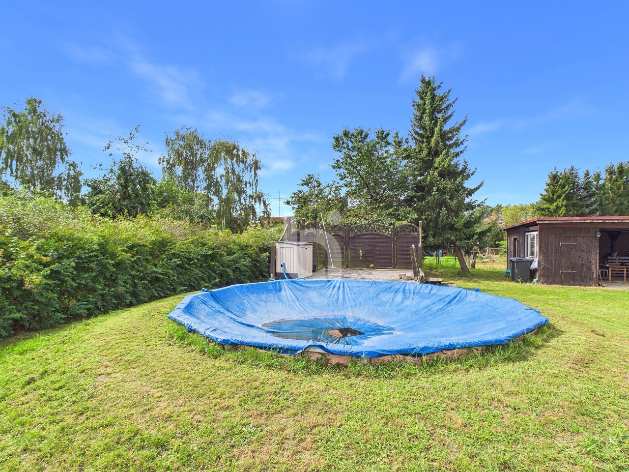 Grünareal - Pool 1