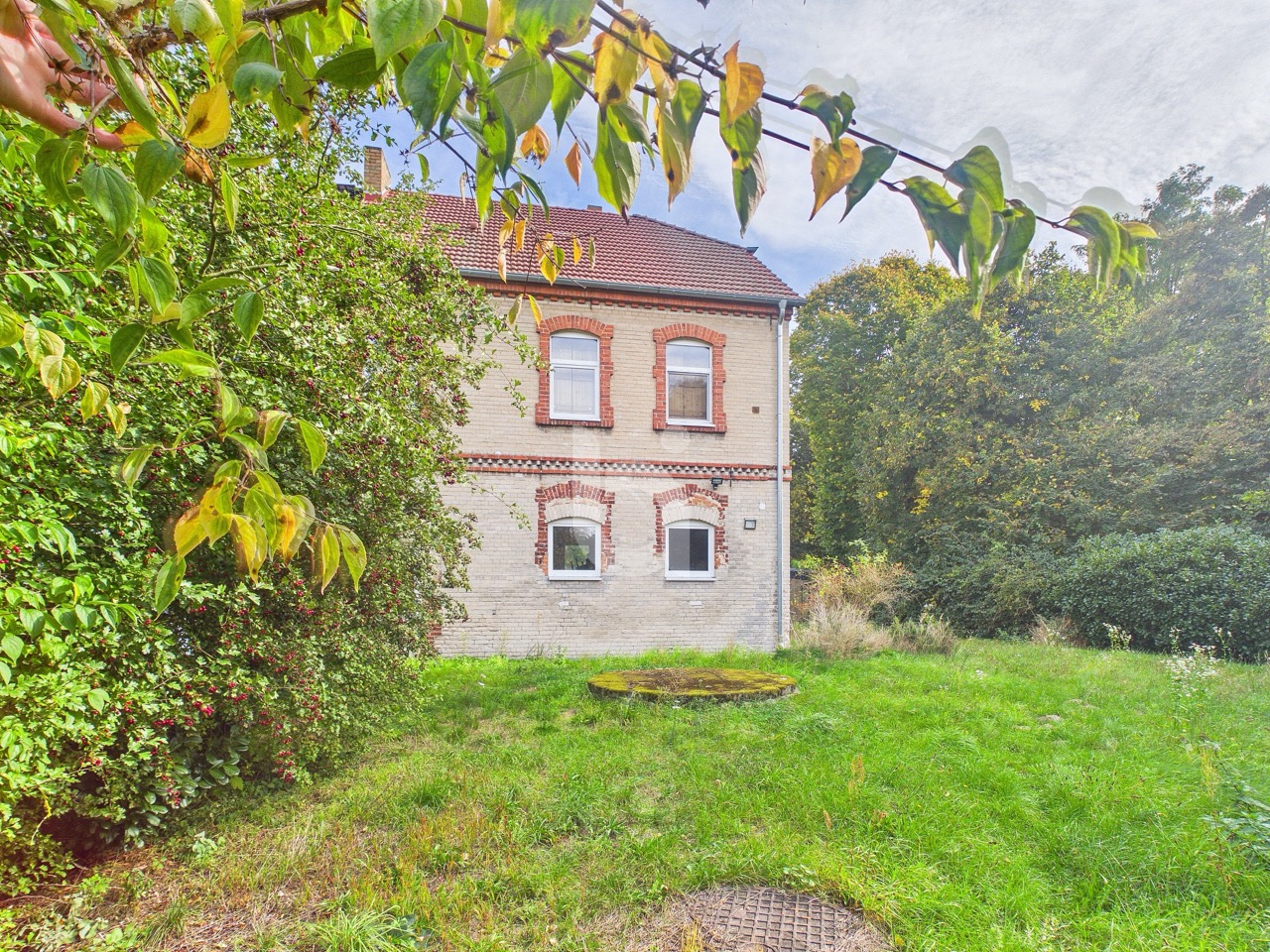 Hausgesicht